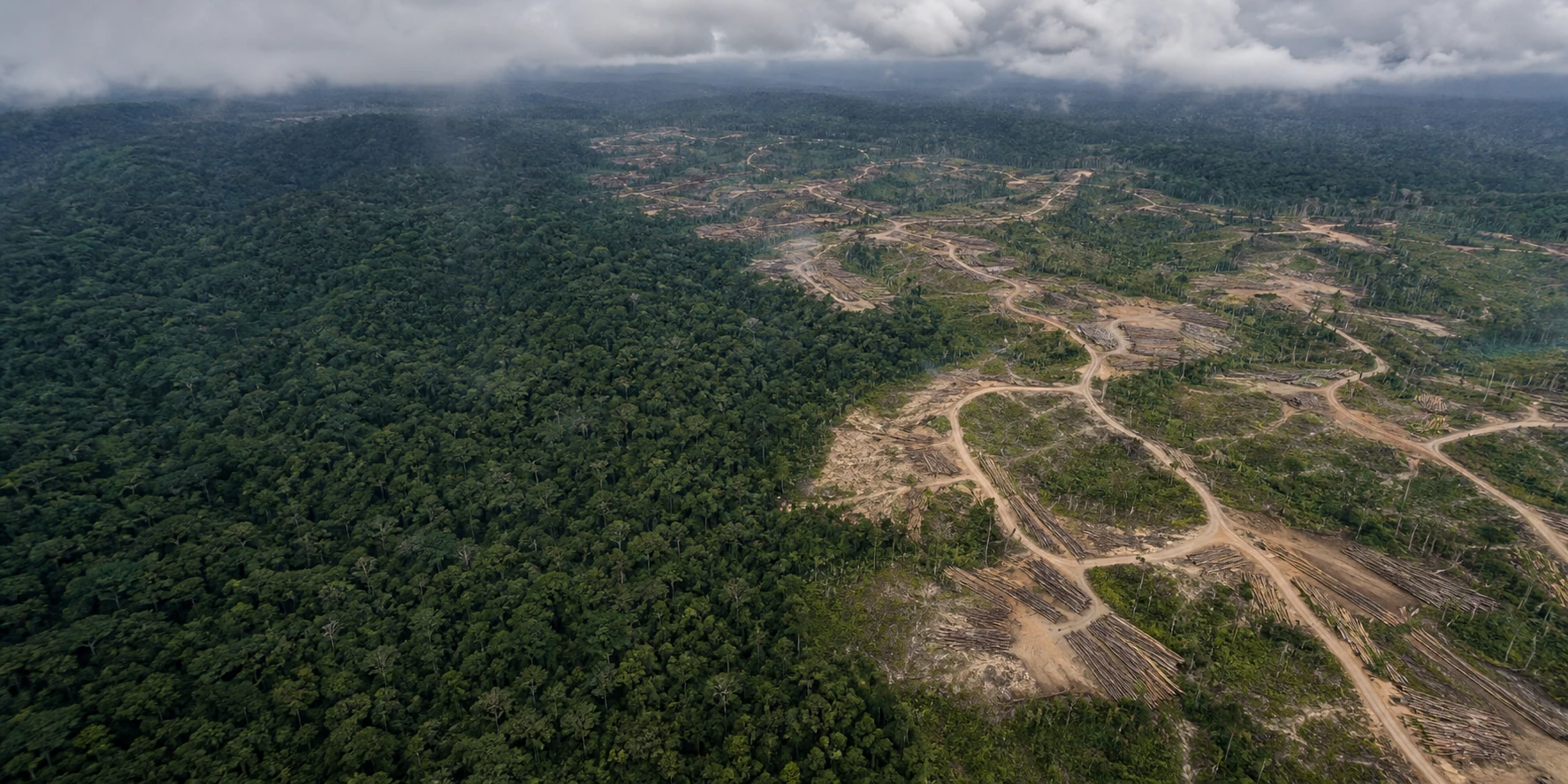 Before and after aerial view of rolling Congo Basin forest and the same land after clear-cutting